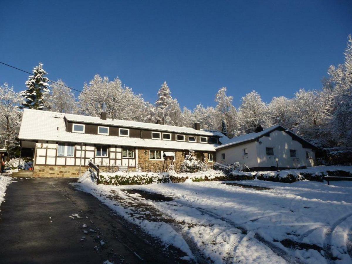Апартаменты Haus Sonnentau Моншау Экстерьер фото